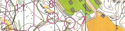 sprint koping1