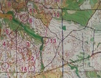 Campeonato nacional de Média