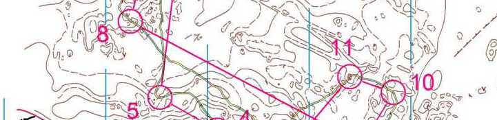 Multi-técnicas