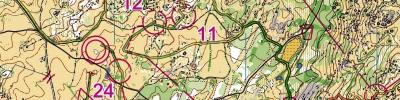 Portugal "O" Meeting 2016 - Dia 4 Longa Chasing Start