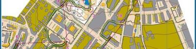 Viseu City Race