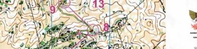 Campeonato Nacional Absoluto O-Ped